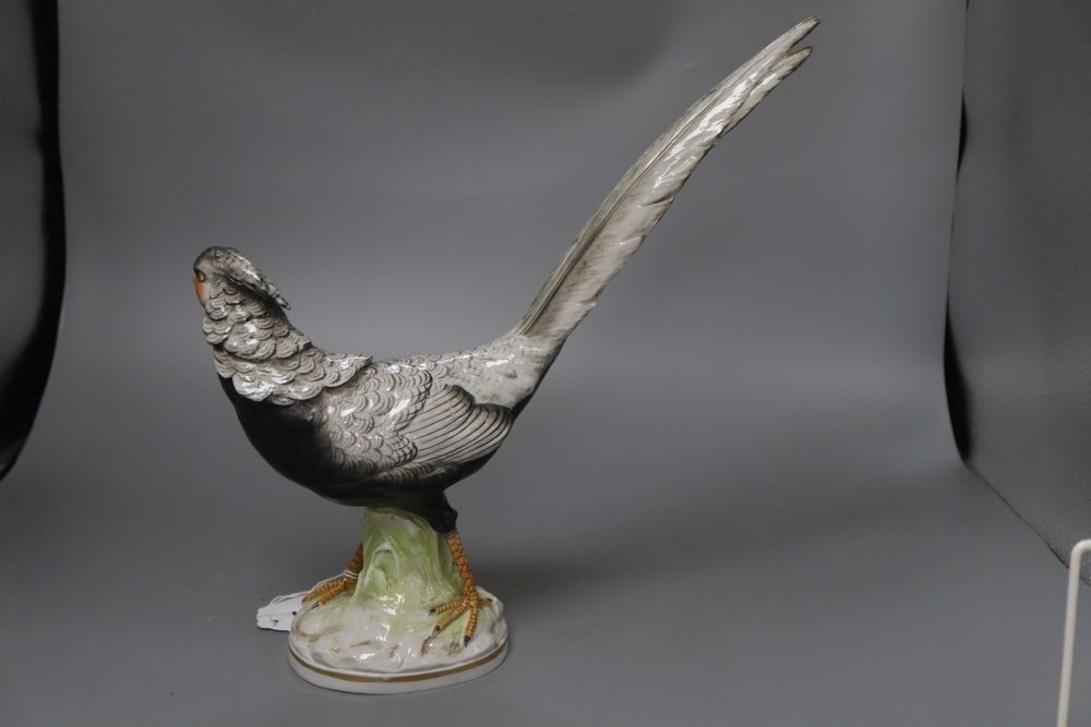 A Richard Ginori Doccia model of a pheasant